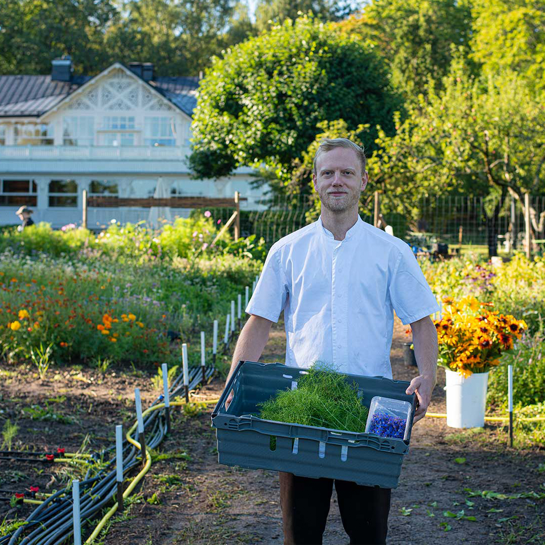 farm to fork food production