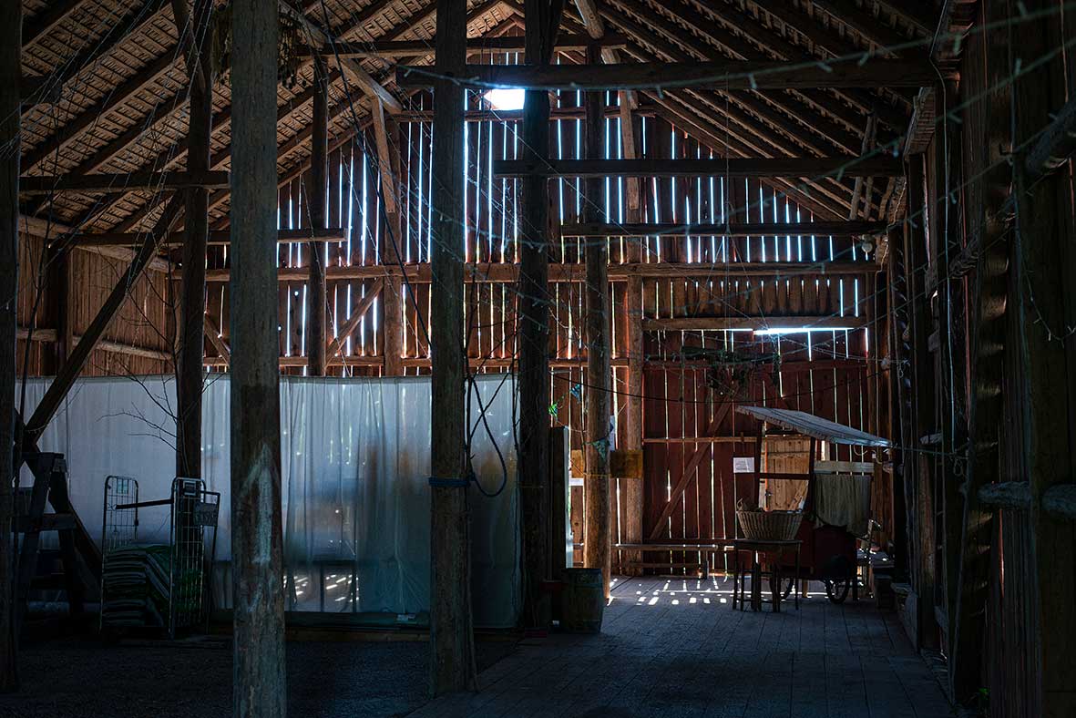 local organic farmshop Sweden